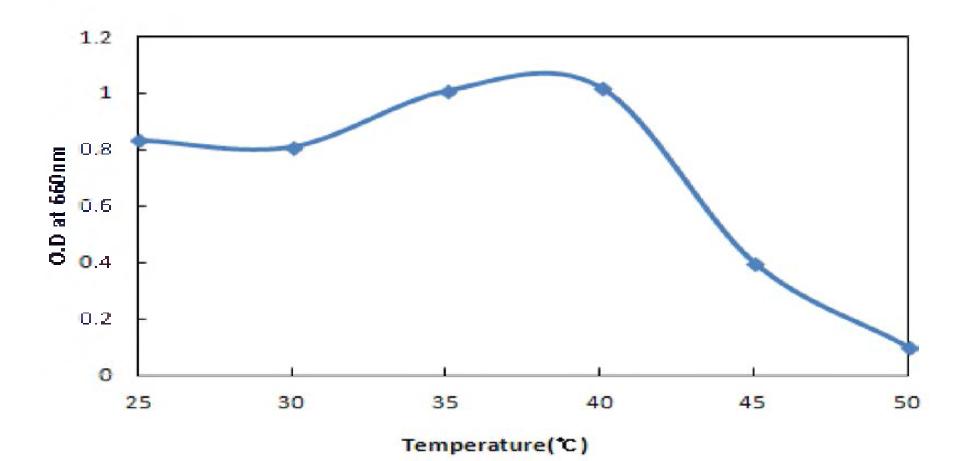 Effect of temperature to the growth of Bacillus amubliquefaciens BBG B5.