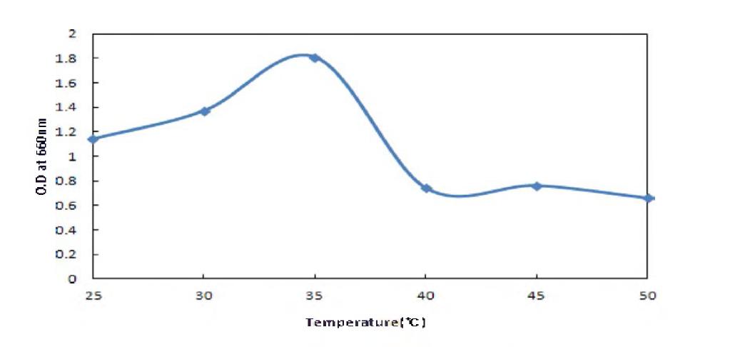 Effect of temperature to the growth of Saccharomuces cerevisiase BBG Y6.