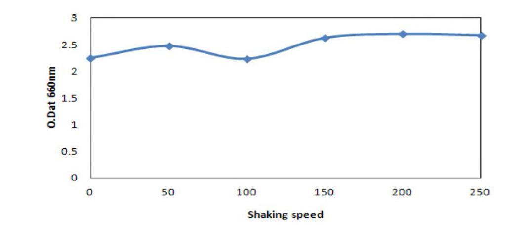 Effect of shaking speed to the growth of Lactobacillus plan tam m BBG L30.