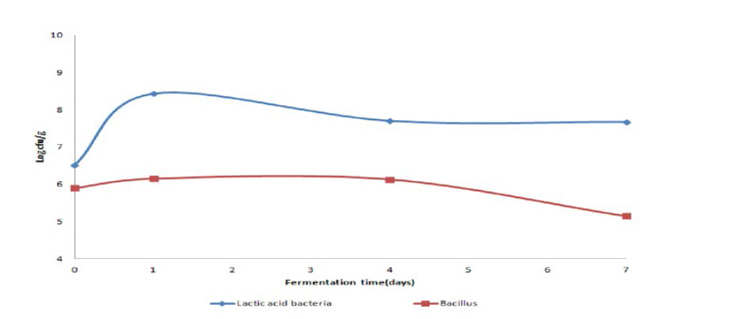 Viable cell change of Lactic acid bacteria and Bacillus by fermentation time