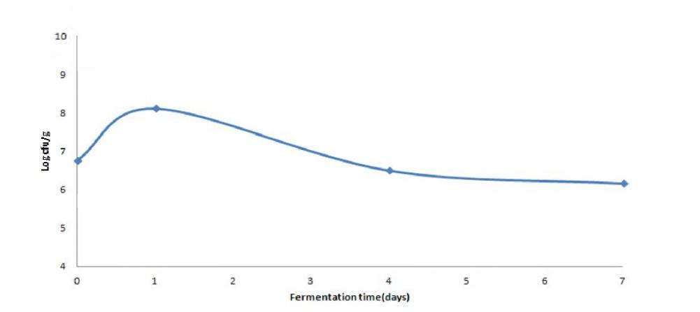 Viable cell change of Lactic acid bacteria by fermentation time.