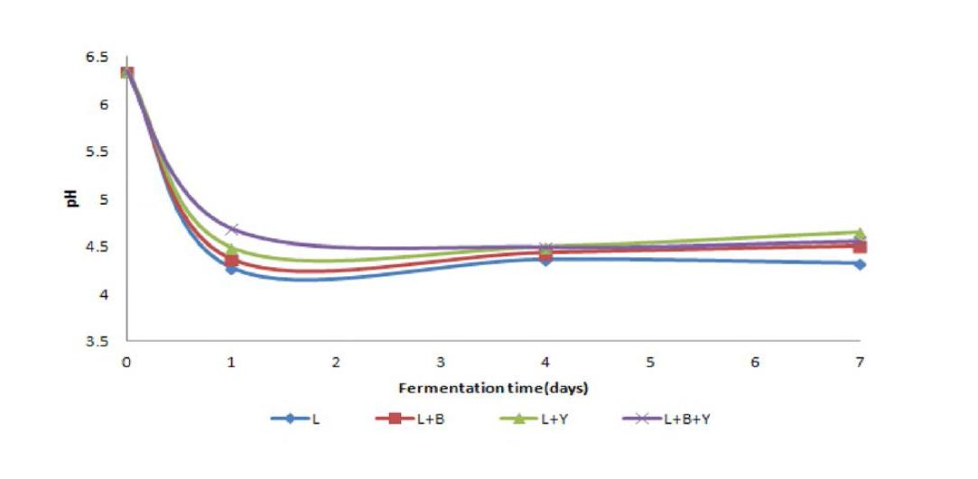 pH change of Lactic acid bacteria, Bacillus and Yeast by fermentation time.