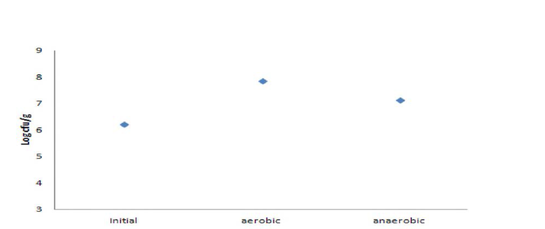 Viable cell change by condition for fermentation (Bacillus).