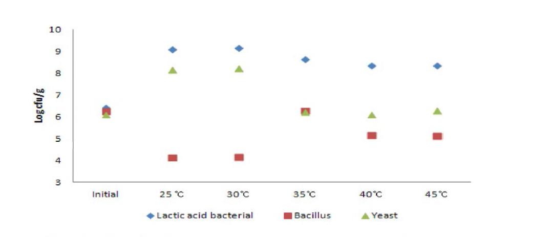 Viable cell change by inoculation for fermentation.