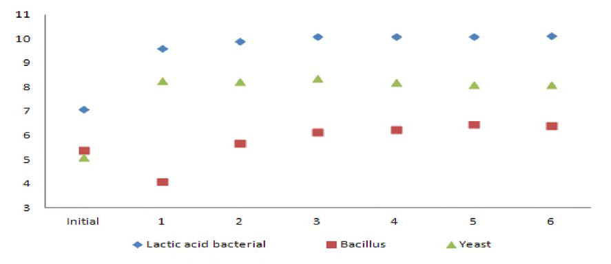 Viable cell change by microbe ratio for fermentation.