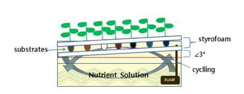 박막수경 방식의 식물재배 모식도
