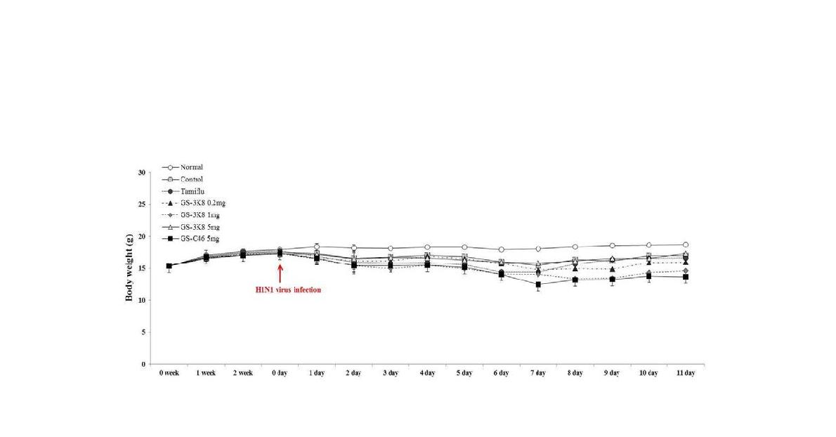 인삼 추출물이 인플루엔자 감염에 따른 실험군의 체중 변화에 미치는 영향