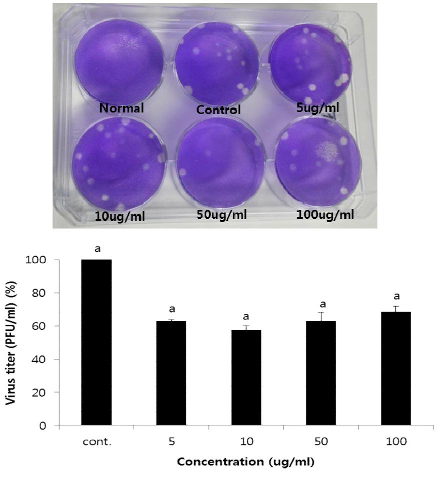 인삼 추출물 GS-Rb1에 대한 인플루엔자 바이러스 plaque assay