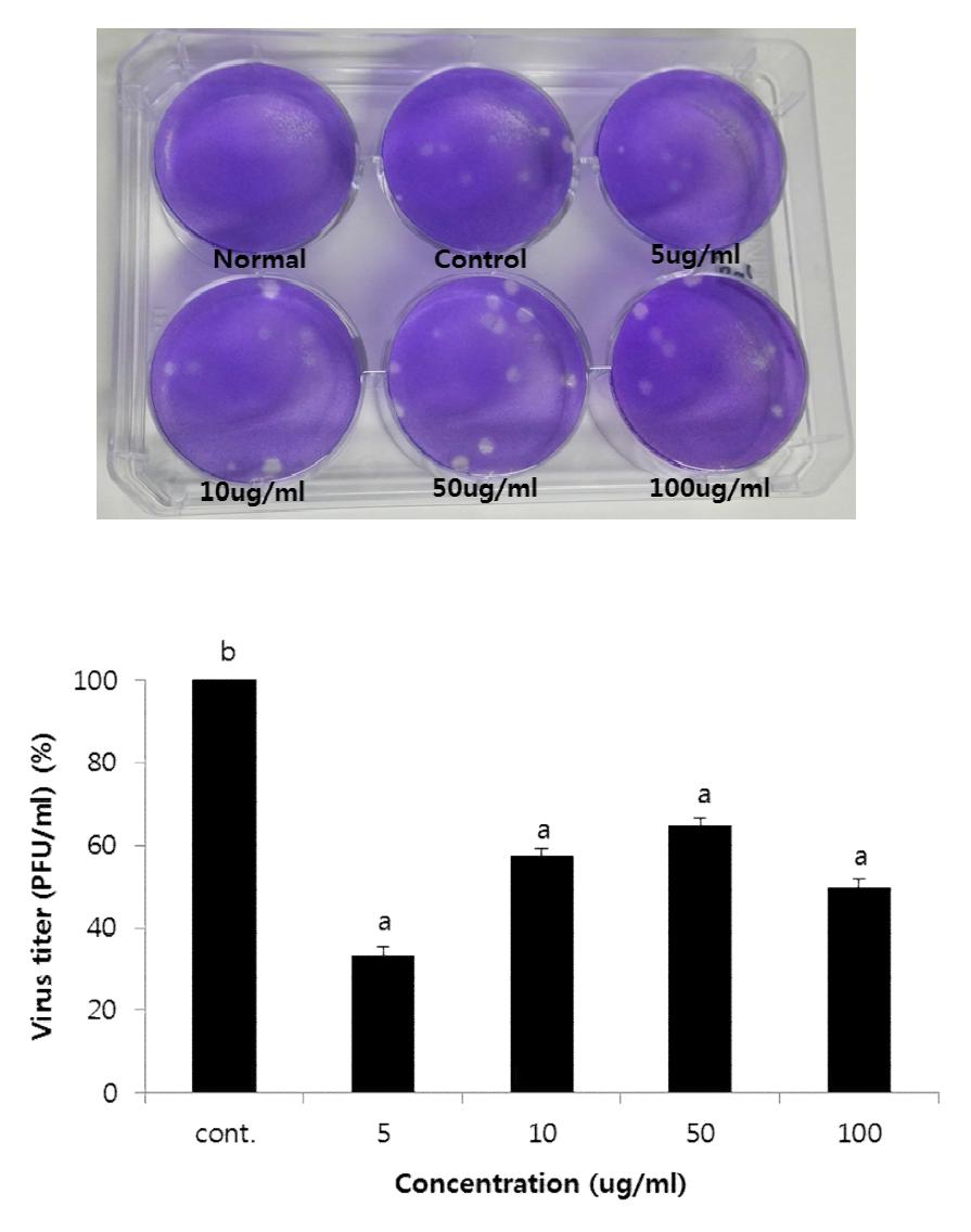 인삼 추출물 GS-Rg1에 대한 인플루엔자 바이러스 plaque assay