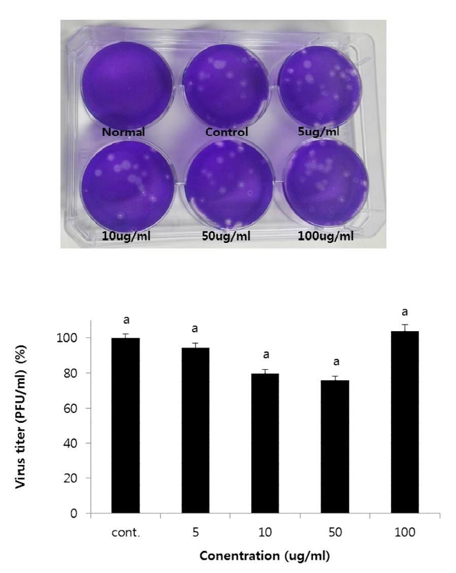 인삼 추출물 GS-C46에 대한 인플루엔자 바이러스 plaque assay