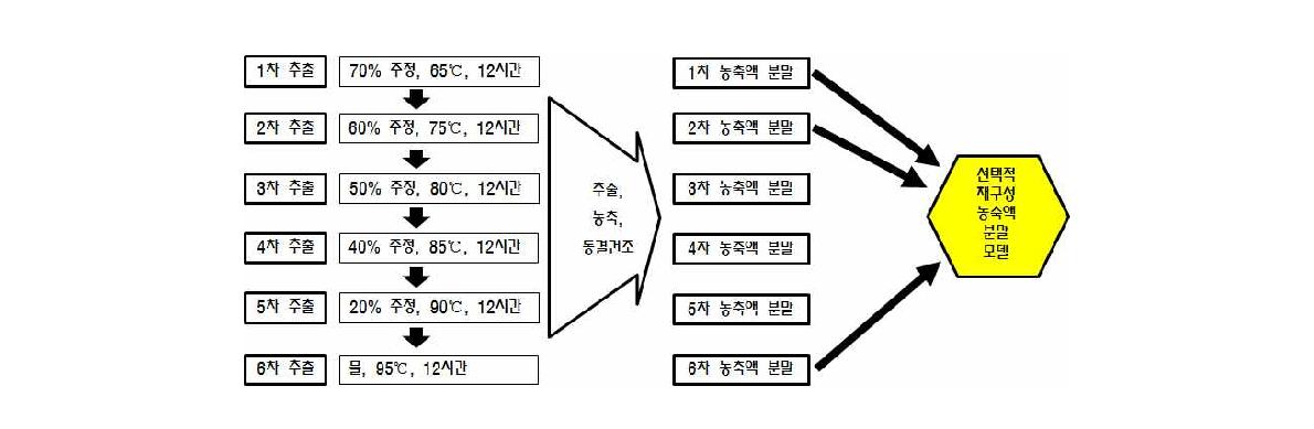 선택적 재구성 인삼농축액분말 모델 제조 공정도