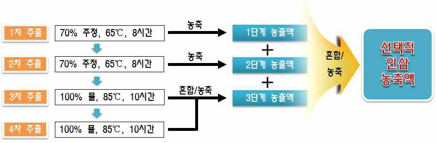 선택적 인삼 농축액 제조공정