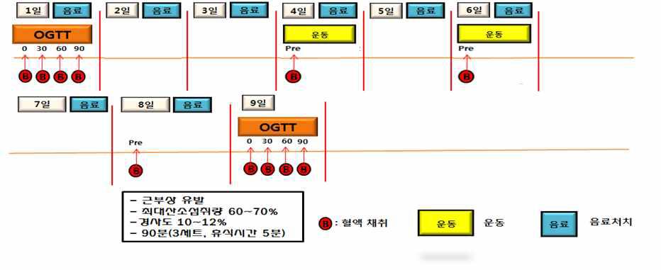 실험 설계