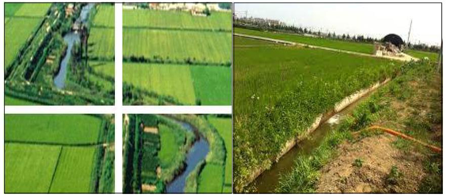 농촌지역 경지와 농업용수 수로조직