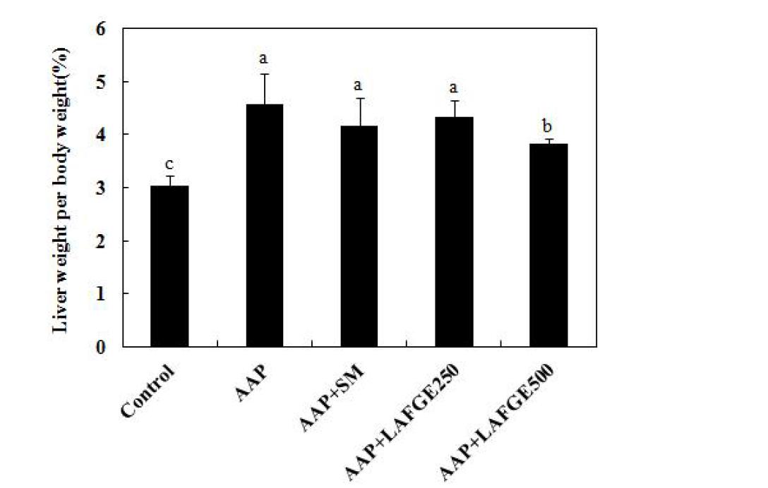 Effects of LAFGE on liver weight ratio in acetaminophen-intoxicated rat livers.