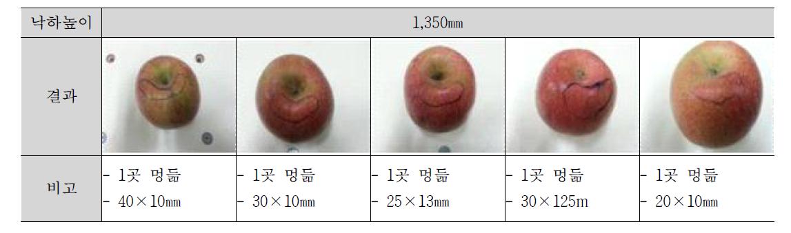 2.5kg 개발제품의 옆면 낙하 시 사과 파손