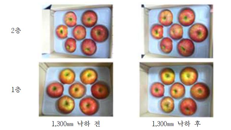 5kg 개발제품(완충재 2장)의 낙하 전후 모습 비교