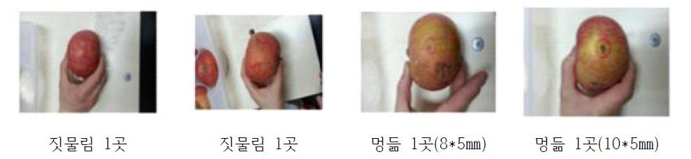 진동 후의 사과 상태