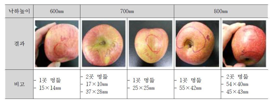 낱개포장 사과의 낙하시험 결과