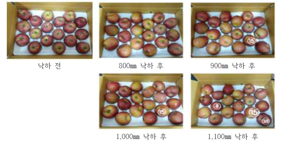 5kg 일반상자의 낙하 전후 모습