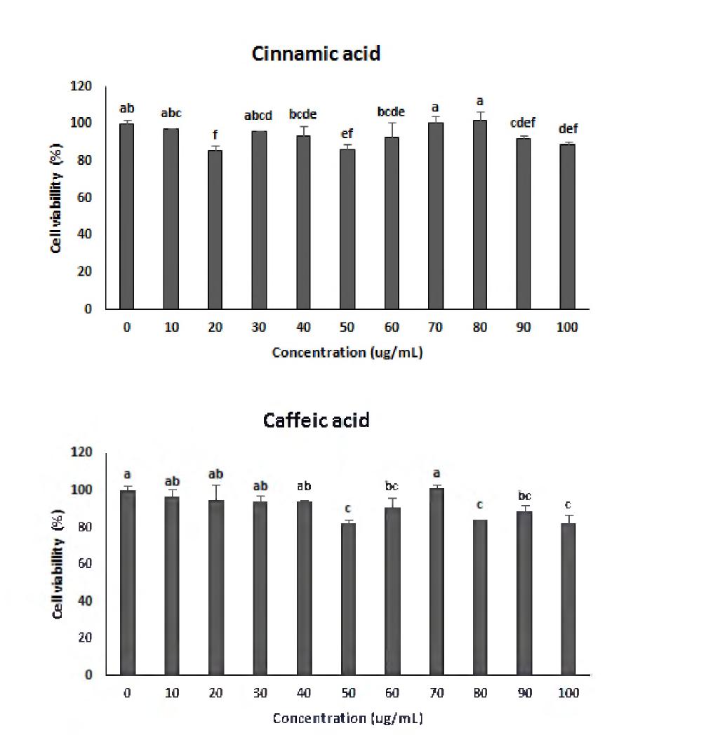 Viability of HepG cell following 4 h of treatment with different concentrations of しinnamic acid and Caffeic acid.
