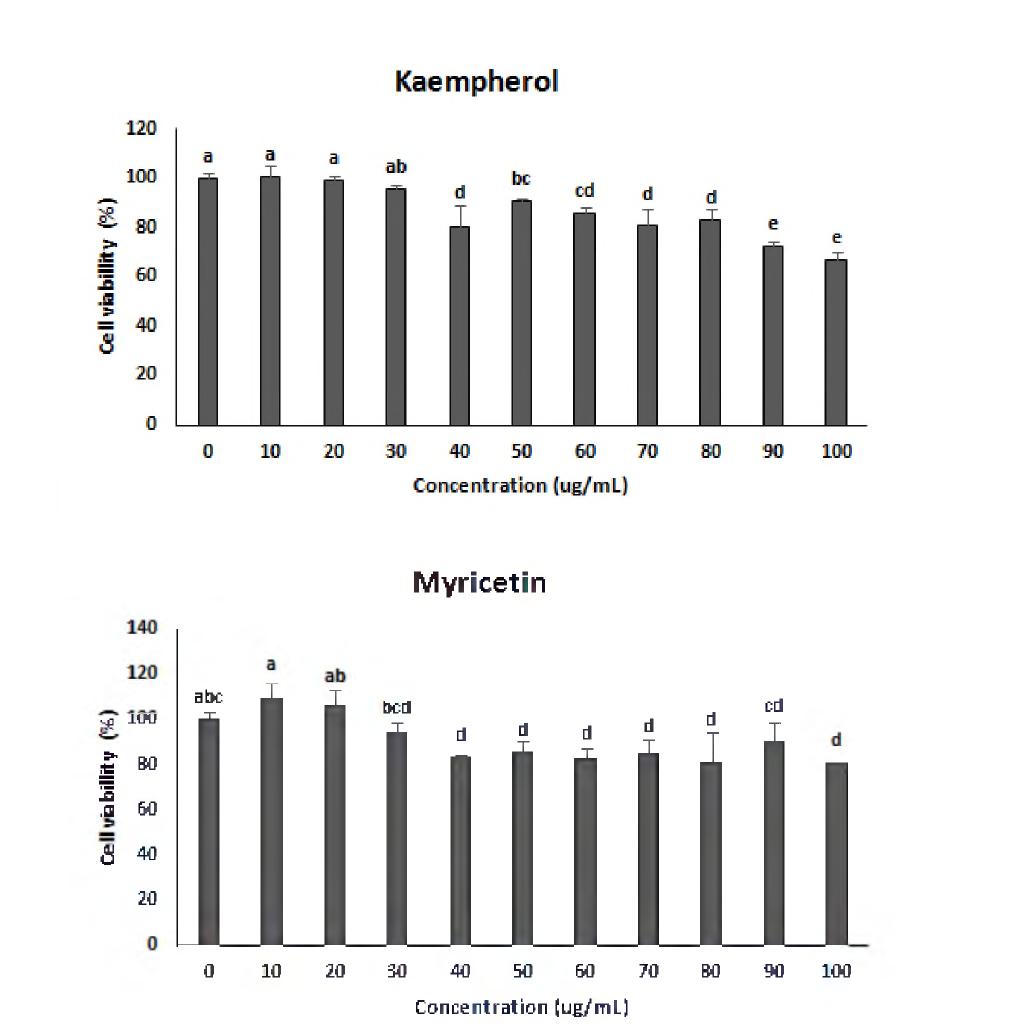 Viability of HepG cell following 4 h of treatment with different concentrations of Kampherol and Myricetin.