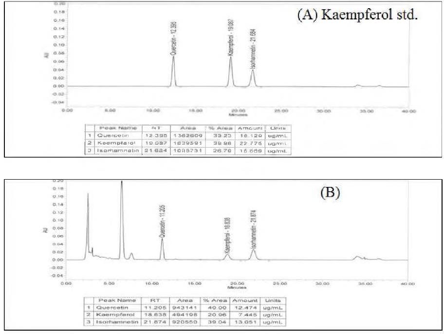 Kaempferol 표준용액 (A) 및 비타민나무 열수 주줄물 및 Kaempferol (B) 크로마토그램의 머무름 시간 비교