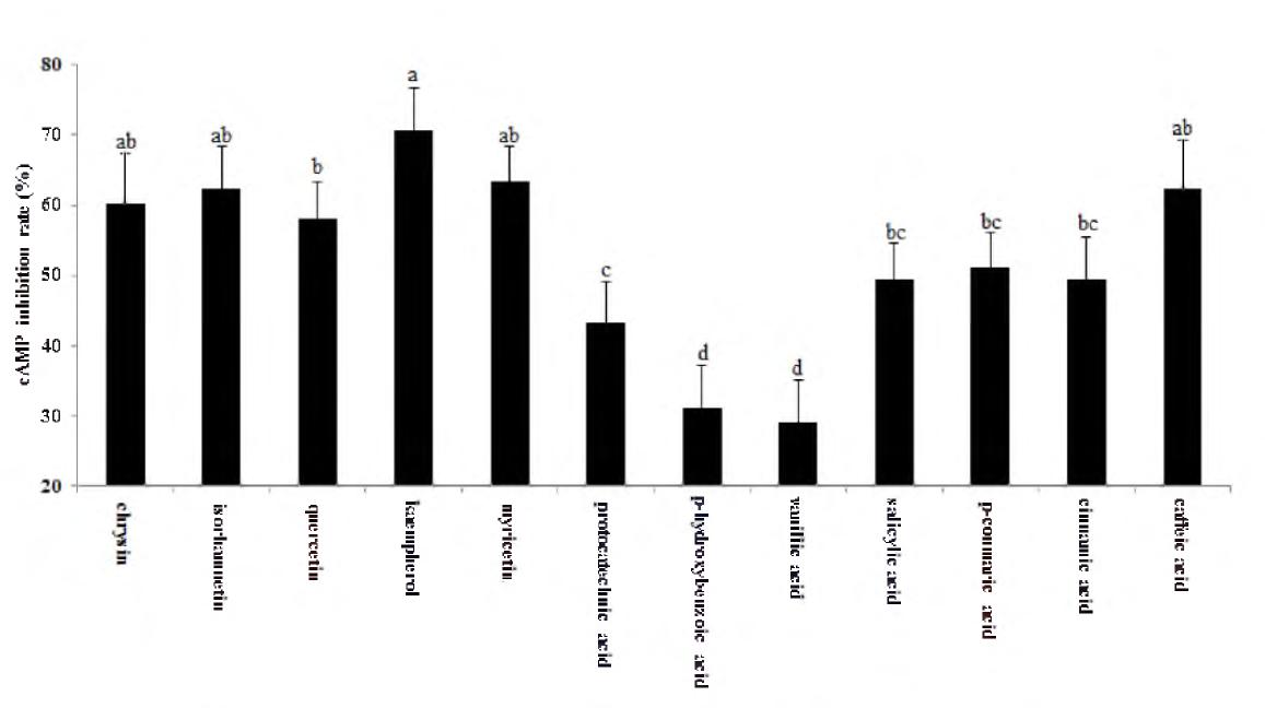 inhibitory effects of compounds fro Hippophea rhamnoides on 5HT- induced cAMP express in human astrocytoma 1321N1 cells.