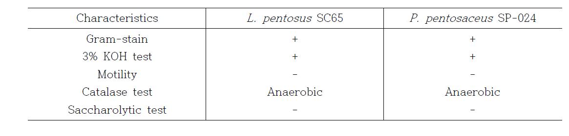 L. pentosus SC65와 P. pentosaceus SP-024의 특성