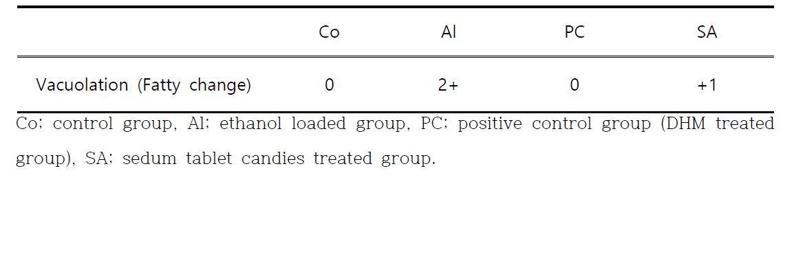 Histological changes of the liver from ethanol loaded rats