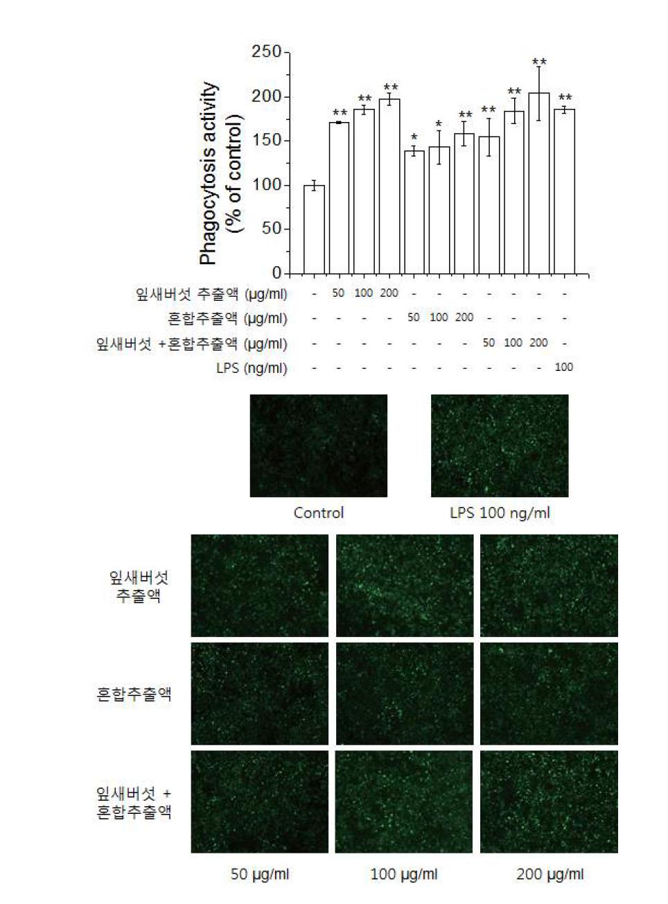 Effects of immune-stimulating materials on phagocytosis in macrophages