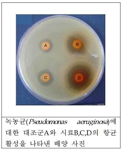 녹농균 항균활성 Paper disc