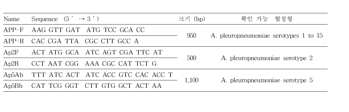 Actinobacillus pleuropneumoniae 특이 primers