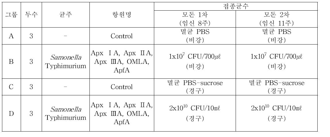 각 그룹별 접종 량 및 접종 경로