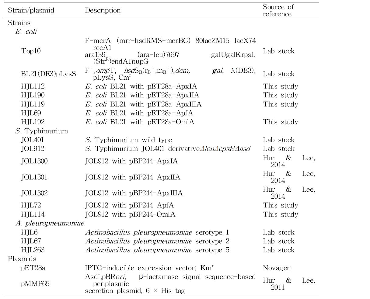 Bacterial strains and plasmids used for this study.