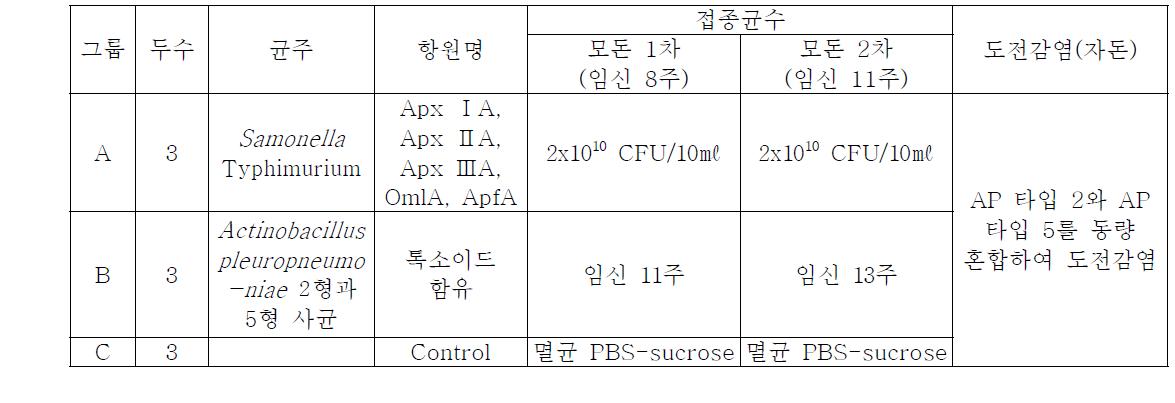 임신 모돈에 백신 접종 및 자돈에서의 도전감염