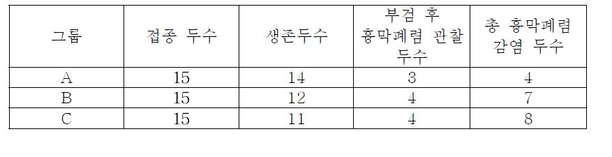 도전감염 후 부검 결과