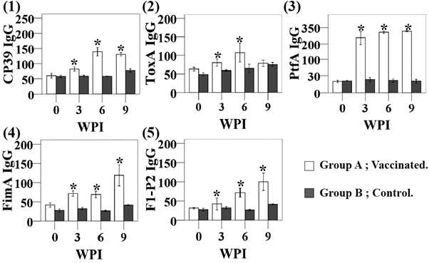 Serum IgG (ug/ml) titers against CP39, ToxA, PtfA, FimA and F1-P2 fimbrial antigens in mice orally immunized with the vaccine candidates.