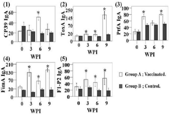 Secretory IgA (ug/ml) titers against CP39, ToxA, PtfA, FimA and F1P2 fimbrial antigens in mice intranasally immunized with each vaccine candidate.