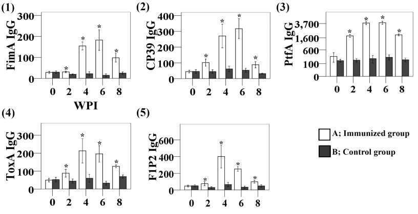 Serum IgG (μg/mL) titres against FimA, CP39, PtfA, ToxA, and F1-P2 antigens in mice intranasally immunised with the vaccine candidates.