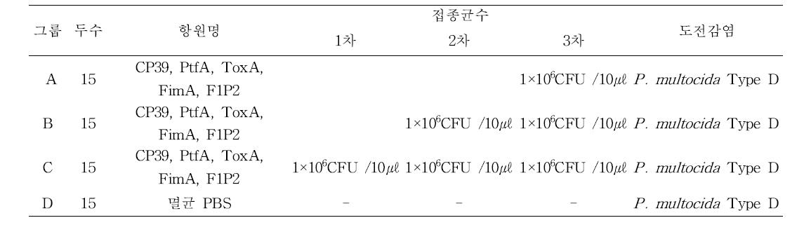 마우스에서 백신 최적화 실험 개요.