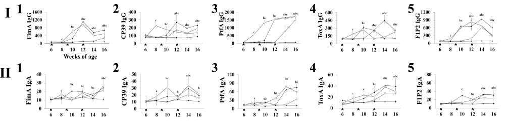 Immune response against CP39, ToxA, PtfA, FimA, and F1P2 antigens in mice intranasally immunized with the vaccine candidates