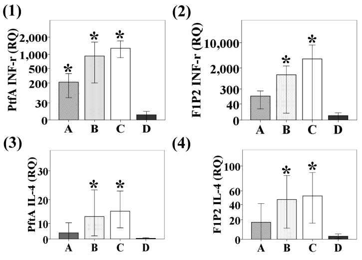 Relative quantification of interferon-gamma (INF-γ), interleukin-4 (IL-4) expression in mice splenocytes using the real-time polymerase chain reaction.