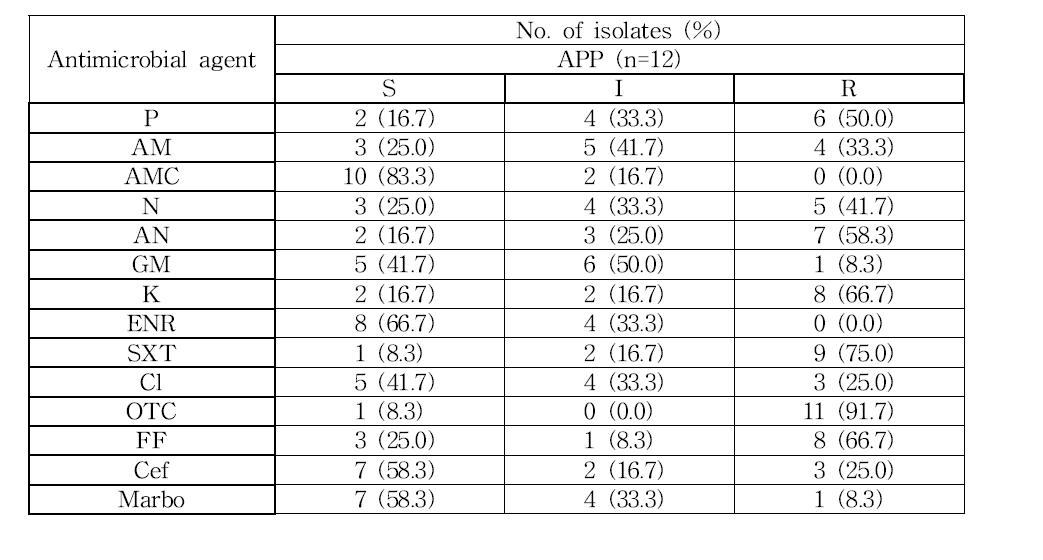 APP 균주에 대한 항생제 감수성 결과