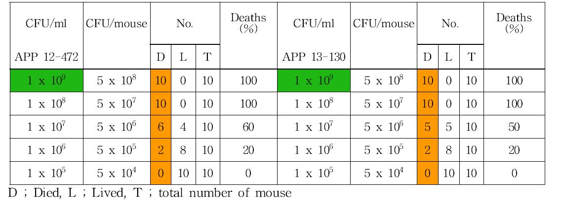 마우스에서 APP 균주에 LD 을 결정을 위한 실험결과50