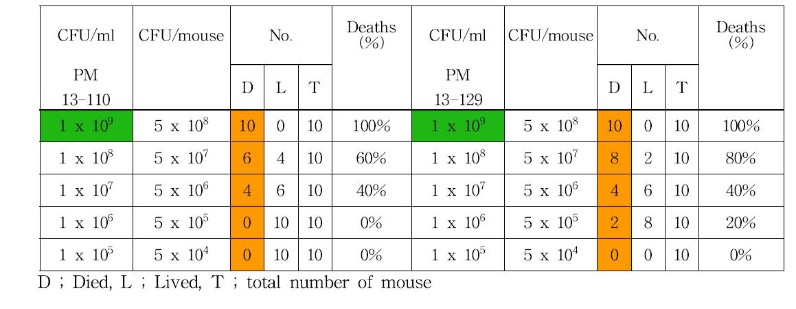 마우스에서 Pasterurella multocida에 대한 LD50 측정을 위한 실험결과