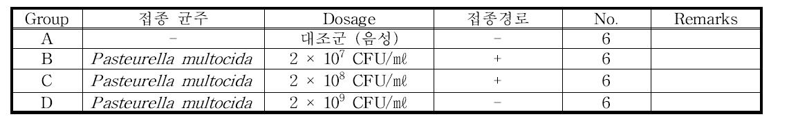 돼지를 대상으로 한 Pasteurella multocida에 대한 실험 개요