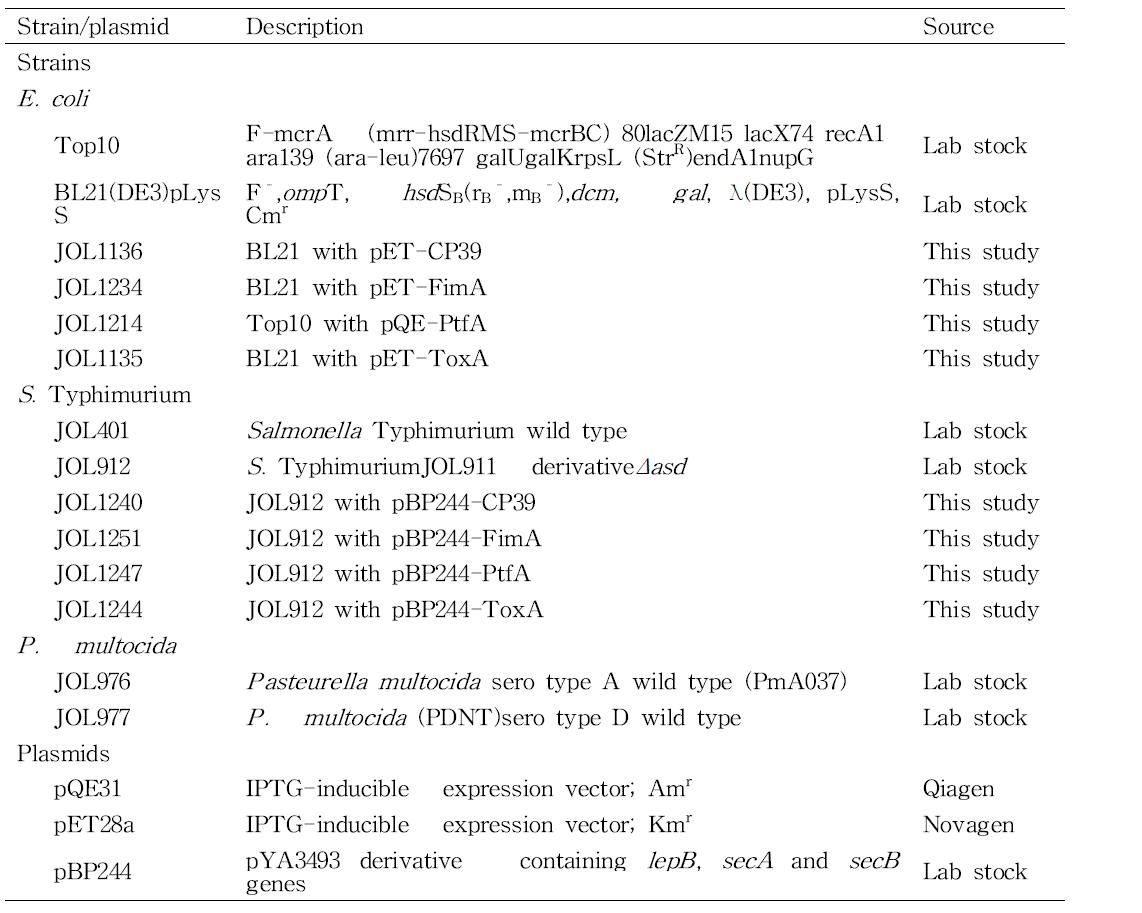 본 실험에 사용된 균주 및 플라스미드 정보