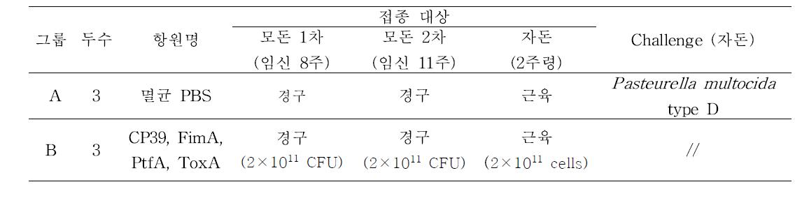 실험 개요