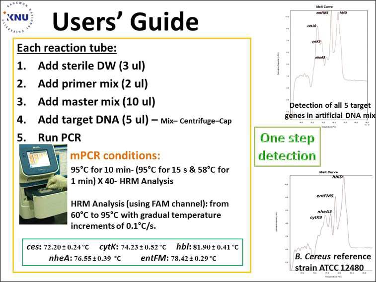 multiplex real-time PCR detection kit에 대한 사용자 편의 차트식 실험법